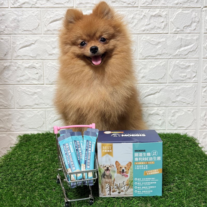 女人知己試用大隊,口碑行銷,部落客行銷,Moegis萌吉 腸道生機專利RBE益生菌,寵物益生菌,專利RBE益生元,專利蔬果酵素,小分子胜肽,藍藻粉,維持免疫力,幫助維持消化道機能,維持正常食慾,改變細菌叢生態,腸胃保健,犬貓適用